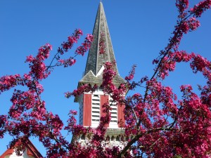 HI spire in spring