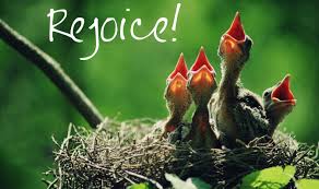 rejoice